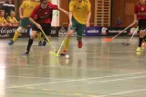 florbal_79884.jpg