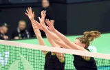 volleyball-4110934_960_720_82501.jpg
