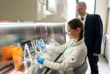 Cancer Detection Method