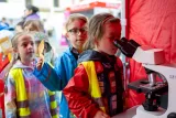 dsc46820136095.jpg